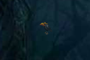 放大鏡找小鳥 放大鏡找小鳥