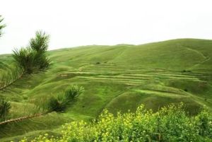 雲霧山草原自然保護區