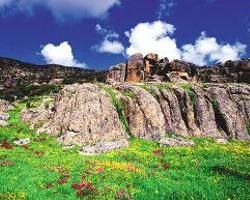 紅原大草原 紅原大草原