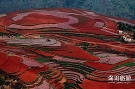 東川紅土地[景點]