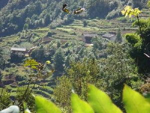 大牙口自然村 大牙口自然村