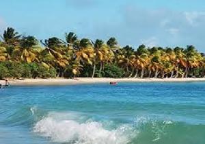 萊斯薩利內斯海灘 萊斯薩利內斯海灘