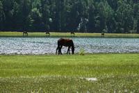 波密崗鄉自然保護區 波密崗鄉自然保護區