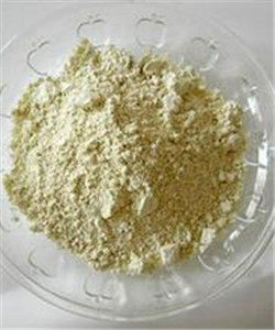 綠豆澱粉 綠豆澱粉