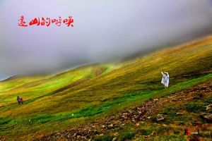 A Distant Cry from Spring