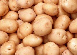烏蘭察布馬鈴薯 烏蘭察布馬鈴薯