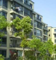 香電小區 香電小區