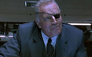 《真實的謊言 》