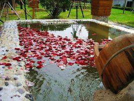 南京頤尚溫泉 南京頤尚溫泉