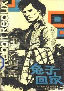 兔子回家 兔子回家