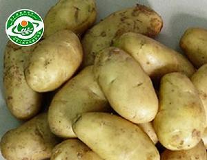 萬源馬鈴薯 萬源馬鈴薯