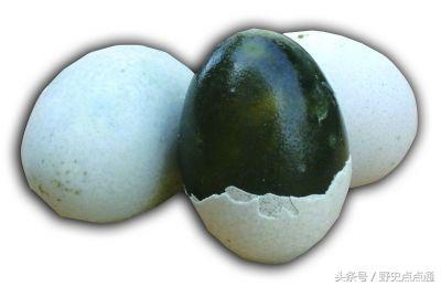 網路配圖 網路配圖