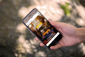 醫美分期 醫美分期