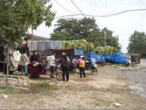 西北孫村 西北孫村