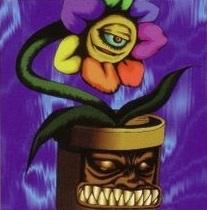 彩虹花[遊戲王的怪獸卡]