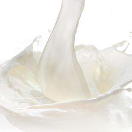 牛乳黏度 牛乳黏度