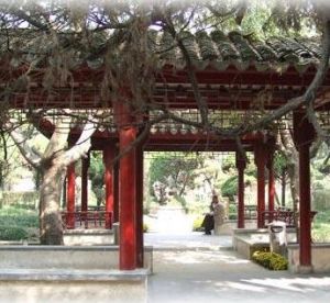 淮上公園 淮上公園