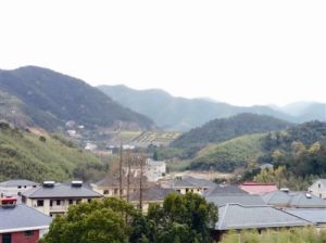 東風隊自然村 東風隊自然村