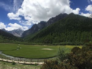沖古草坪 沖古草坪