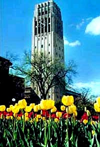 密西根商學院 密西根商學院