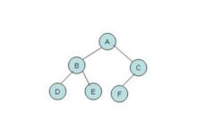 樹[數據結構名詞]