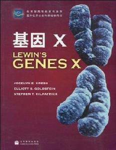 基因X 基因X