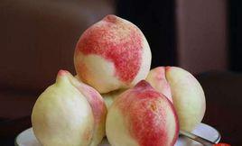 深州蜜桃王 深州蜜桃王