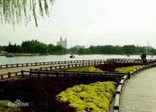 楚州[江蘇省淮安市的古稱]