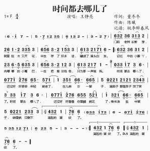 《時間都去哪兒了》 《時間都去哪兒了》