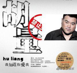 我知道你愛我[胡量演唱歌曲]