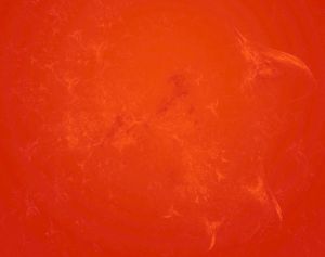 紅色[顏色的一種]