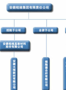 安徽皖維高新材料股份有限公司