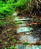 蘭關古道 蘭關古道