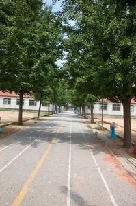 (圖)郯城縣第一實驗國小