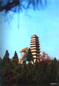 老爺山景區 老爺山景區