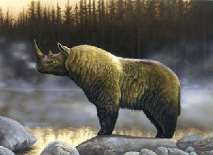 第四紀冰期 第四紀冰期