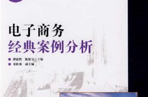 電子商務經典案例分析 電子商務經典案例分析