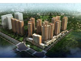 華城泊郡 華城泊郡