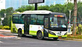 順德公交304線公共汽車 順德公交304線公共汽車