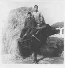 新海農場 新海農場