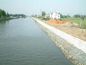 錫十一圩港 錫十一圩港