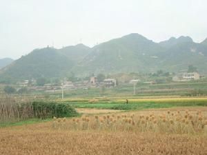 許德沖自然村 許德沖自然村