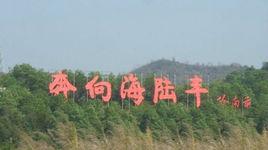 奔向海陸豐 奔向海陸豐