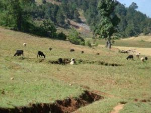 花椒箐自然村 花椒箐自然村
