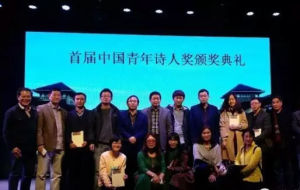 中國青年詩人獎 中國青年詩人獎