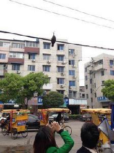 浙江省臨海市東湖職業技術學校 浙江省臨海市東湖職業技術學校