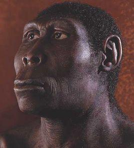 史前社會 史前社會