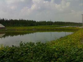 水產養殖[理想網箱系統設計的基本原則]