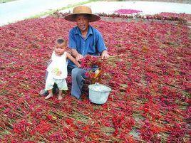 方城楊集 方城楊集