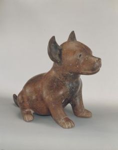 坐著的狗 坐著的狗